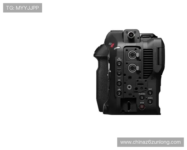 尊龙z6.com地址平台安全稳定，保障用户隐私与数据安全的优质选择