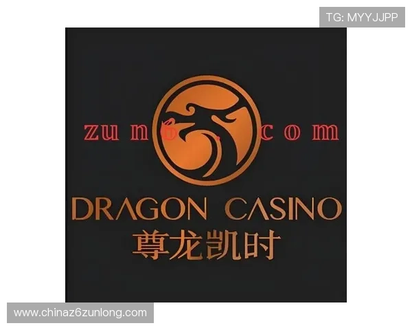 尊龙凯时网站app账号安全保障措施，确保每位用户的个人信息与资金安全无忧