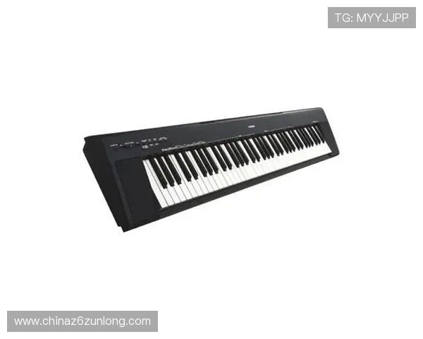 尊龙人生就是博d88下载：详细介绍平台特色与安全保障措施